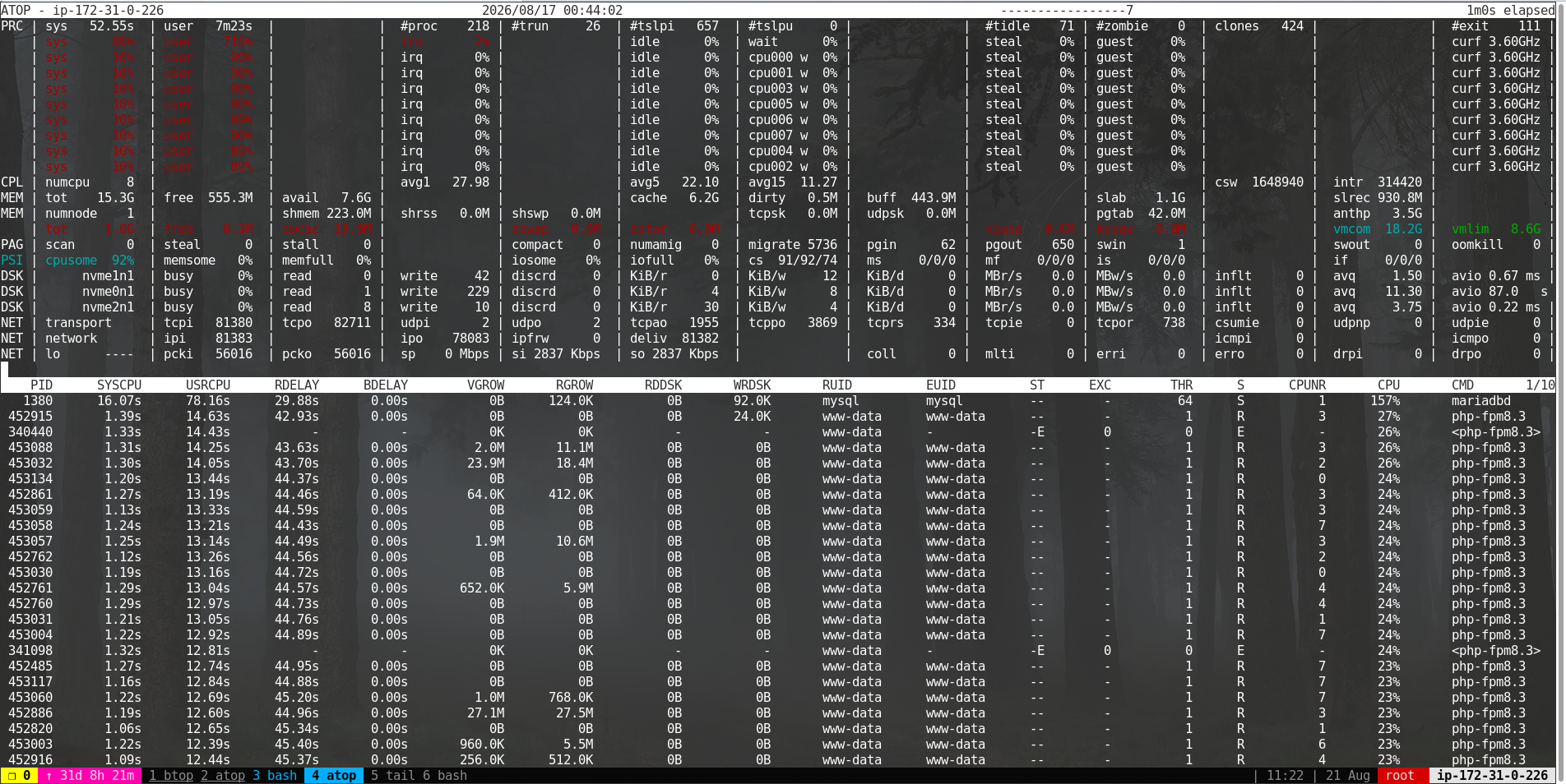 top zeigt hohe CPU-Auslastung durch PHP-FPM und MySQL