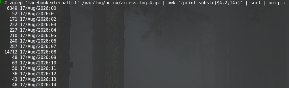 Nginx-Logfile zeigt häufige Zugriffe auf einen ressourcenintensiven WooCommerce-Endpunkt