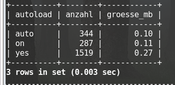 Reduzierte WordPress-Autoload-Daten nach der Performance-Optimierung.